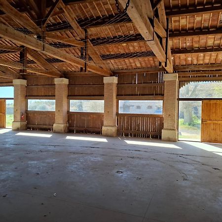 Mas De Bonnafoux Villa Beaucaire  Luaran gambar